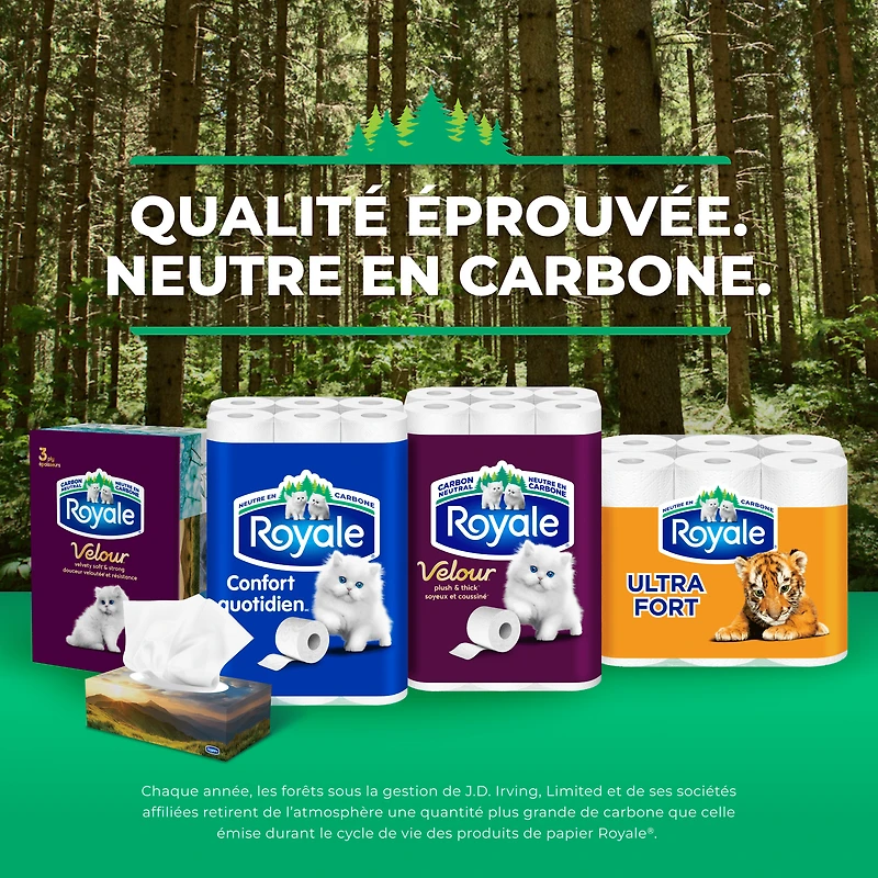 Mouchoirs Royale Velour, 12 boîtes, 82 mouchoirs par boîte