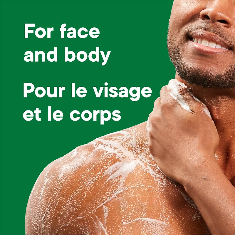 Irish Spring Moisture Blast Moisturizing Body Wash for Men, 887 mL Pump Bottle