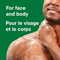 Irish Spring Moisture Blast Moisturizing Body Wash for Men, 887 mL Pump Bottle