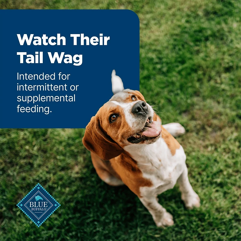 Blue Buffalo Nudges Grillers Gâteries Naturelles pour Chiens Faits avec du Vrai Poulet, 10 oz. BLUE Nudges Grillades Poulet Chien