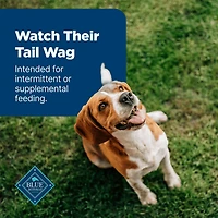 Blue Buffalo Nudges Grillers Gâteries Naturelles pour Chiens Faits avec du Vrai Poulet, 10 oz. BLUE Nudges Grillades Poulet Chien