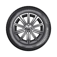 TRIANGLE SNOWLINK PL02 255/40R18 99V Tire