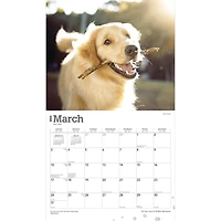 BrownTrout For the Love of Golden Retrievers 2024 14x24 Inch Deluxe Wall Calendar, 9781975468590