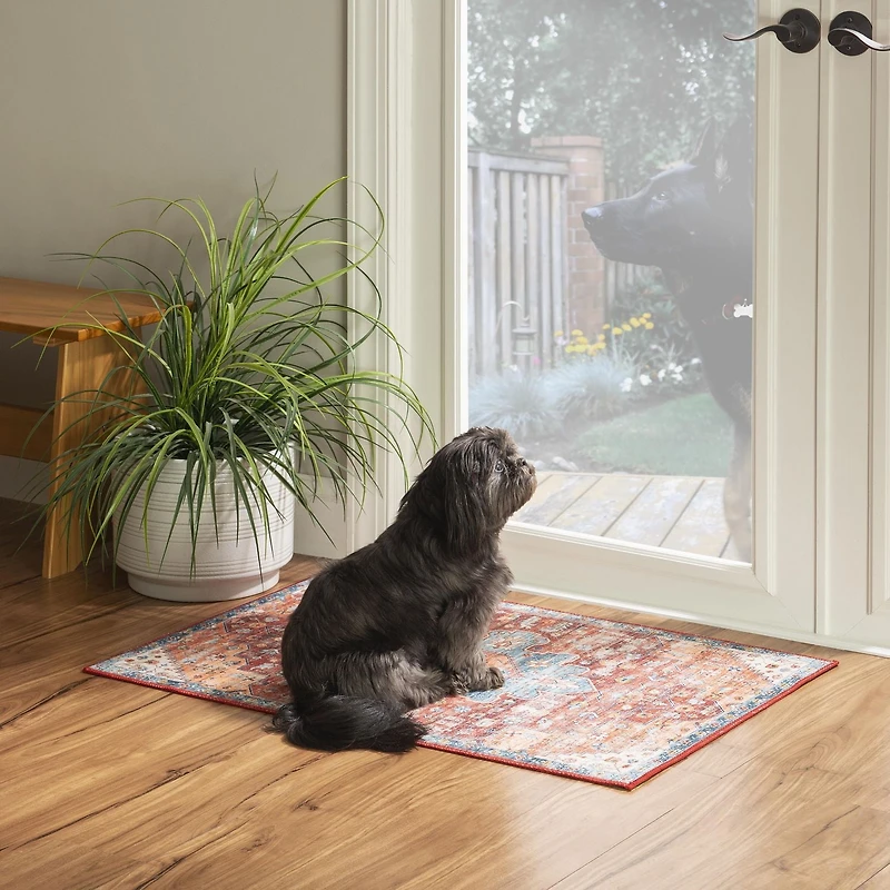 Tapis d'appoint lavable Carter 2 pi x 3 pi rouille et ivoire