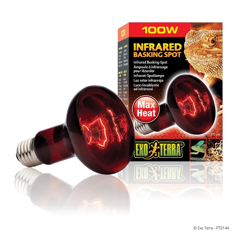 Ampoule à infrarouge Exo Terra pour lézarder, R25, 100 W