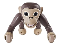 Zoomer - Chimpanzé - - - - - - - - - - - - - - - - - - -