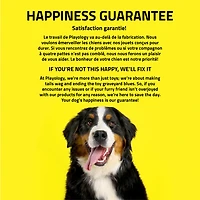 Playology Pomme de pin grinçante Bœuf Jouet parfumé pour chien