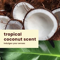 Huile solaire en vaporisateur à pompe de Hawaiian TropicMD, FPS 4 240 ml
