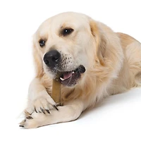 Zeus NOSH STRONG Chew Bone for Dogs Bacon Flavor, Small, 11 cm