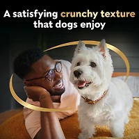 CESAR BAKIES Dog Treats, Small Adult Dogs, New York Strip Flavour