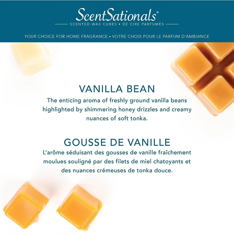 Cubes de cire parfumée ScentSationals - Gousse de vanille 2,5 fois (70,9 g)