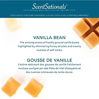 Cubes de cire parfumée ScentSationals - Gousse de vanille 2,5 fois (70,9 g)