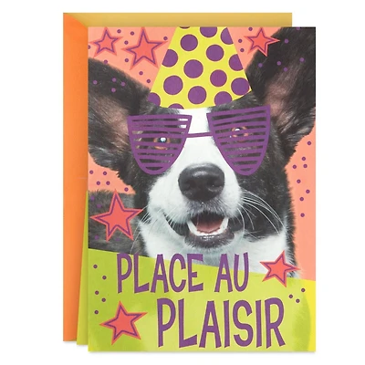 Hallmark Pop Up Birthday Card (Birthday Dog)