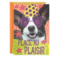 Hallmark Pop Up Birthday Card (Birthday Dog)