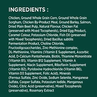 Iams Advanced Health Skin & Coat Chicken & Salmon Adult Dry Dog Food, 2.72-12.2kg