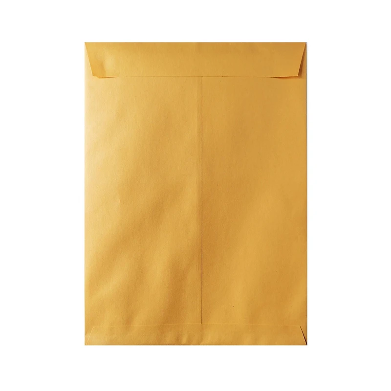 Hilroy Kraft Envelopes, 9x12-Inch, 100-Count
