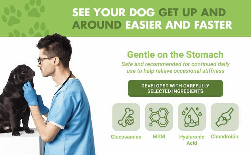 Liquid-Vet Bien-Être Articulaire Glucosamine à Action Rapide pour Chiens – Saveur Poulet, Complément pour la Santé des Articulations, 473 ml Glucosamine, 474 ml