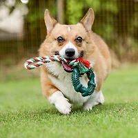 Vibrant Life Rubber Ring with Rope Dog Toy