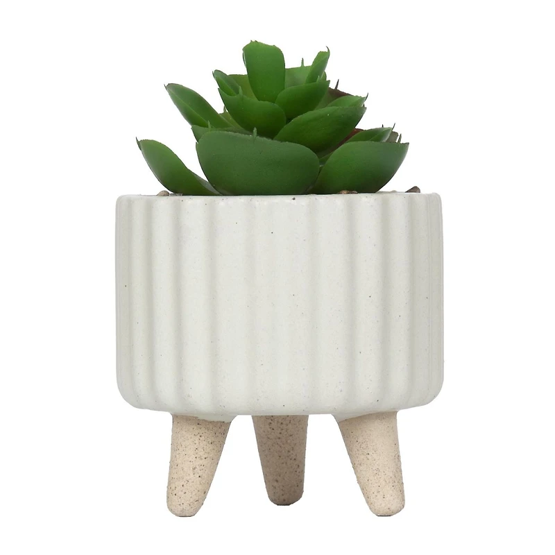 hometrends Cozby Faux Succulent in Cream Pot