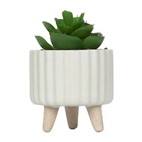hometrends Cozby Faux Succulent in Cream Pot