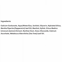 Green Beaver Dentifrice à la menthe glacée, 75ml