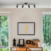 Rail d’éclairage à 4 ampoules de 30 po noir mat