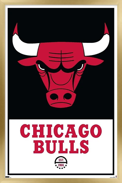 NBA Chicago Bulls - Logo 21
