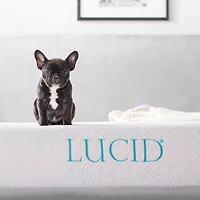 Lucid 10 Inch Dual-Layered Gel Memory Foam Mattress, Twin