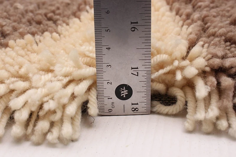 ECARPETGALLERY Timeless Beige, Brown Shag 5'0" x 7'0"