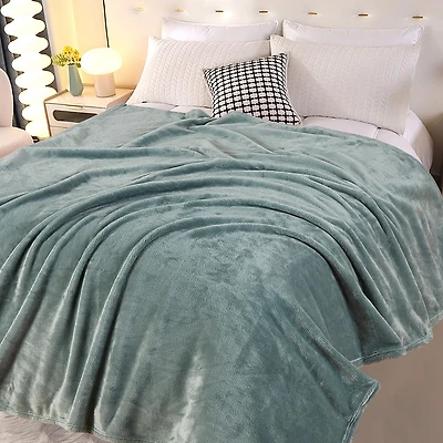 HOMETRENDS Luxury Plush Throw