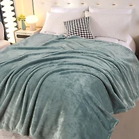 HOMETRENDS Luxury Plush Throw