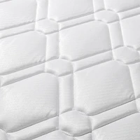 Zinus Spa Sensations 8 inch Support Spring Mattress, Twin, Full, Queen