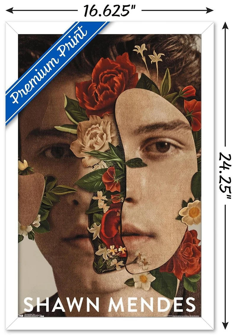 Shawn Mendes - Floral Wall Poster, 22.375" x 34"