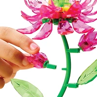 CRYSYAL GEM LOTUS - FRENCH