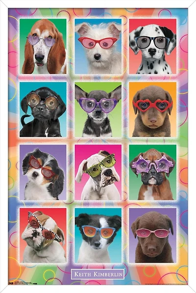 Keith Kimberlin - Puppies - Sunglasses Wall Poster