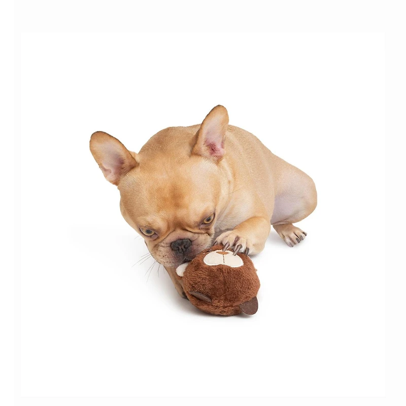 One Paw, jouet pour chien en forme de balle d'ours