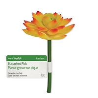 FloraCraft Artificial Succulent Pick 3 Inch x 3.5 Inch Yellow Echeveria