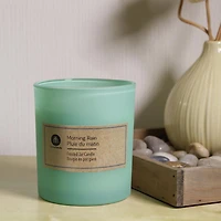 Hometrends 7.5oz Bougie parfumée aux pluie du matin en pot givré
