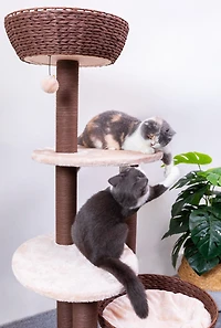 Catry Pharaoh Arbre à chat écologique tissé à la main avec griffoirs