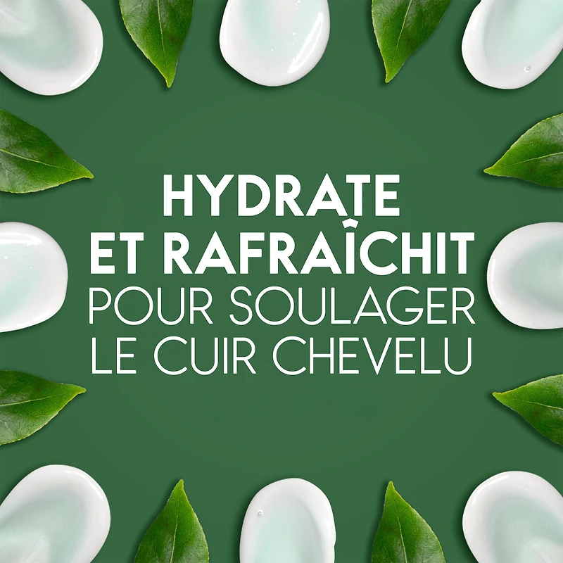 Head & Shoulders Tea Tree Oil 2-in-1 Anti-Dandruff Shampoo + Conditioner