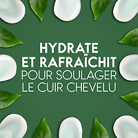 Head & Shoulders Tea Tree Oil 2-in-1 Anti-Dandruff Shampoo + Conditioner