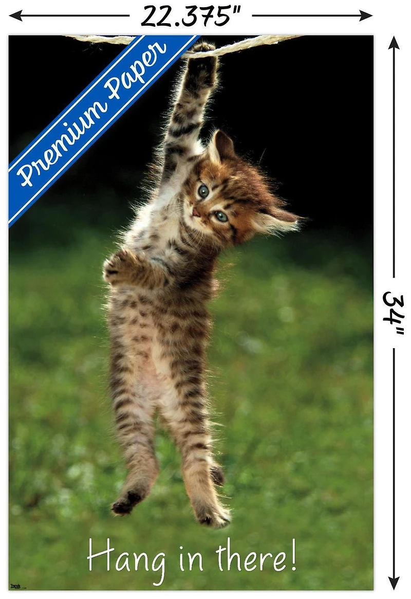 Famous Kitten Hang In There Poster Wall Poster