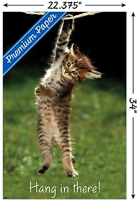 Famous Kitten Hang In There Poster Wall Poster