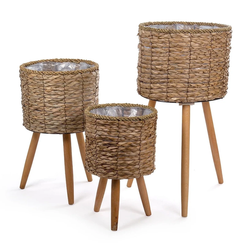 Truu Design Decorative Cattail Planter Set with Wooden Legs
