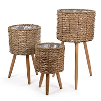 Truu Design Decorative Cattail Planter Set with Wooden Legs