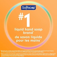 Pompe de savon liquide pour les mains hydratant Softsoap Watermelon & Mint, 332 mL Savon liquide