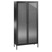 Systembuild Evolution Ashbury Heights Tall 2 Door Storage Cabinet-Fluted Glass Metal Locker, Black