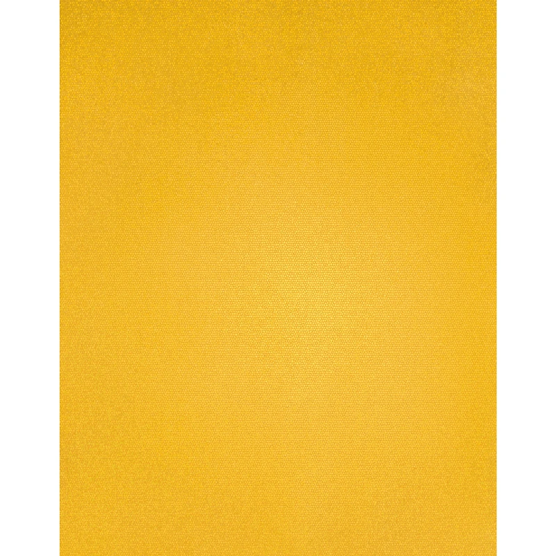 ArtSkills Holographic Poster Board, 22" x 28"