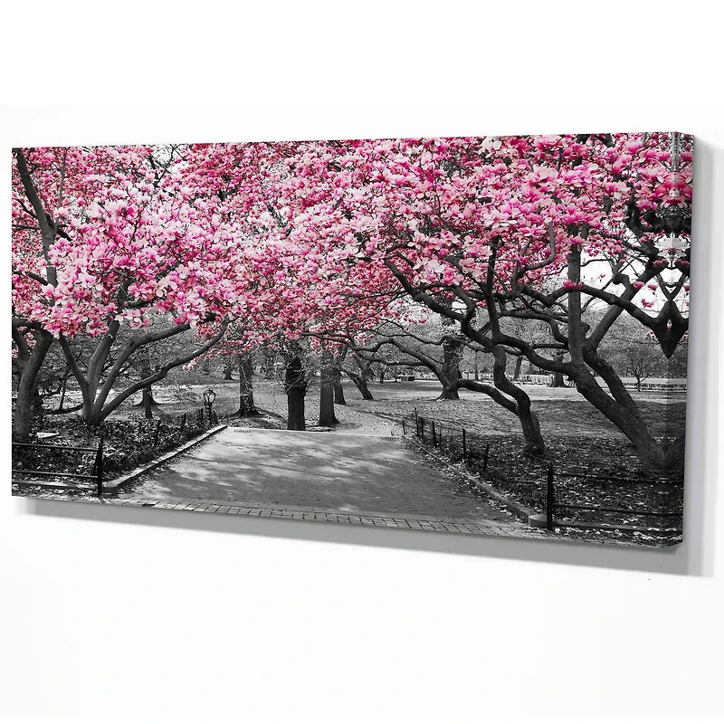 Designart Cherry Blossoms Canvas Wall Art