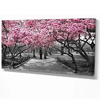 Designart Cherry Blossoms Canvas Wall Art